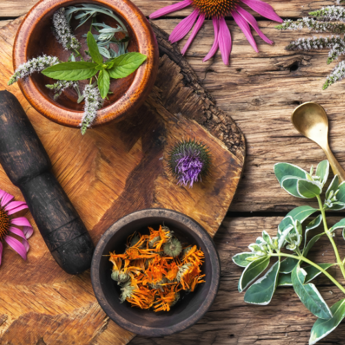 The Top 9 Herbs for Anxiety and Depression