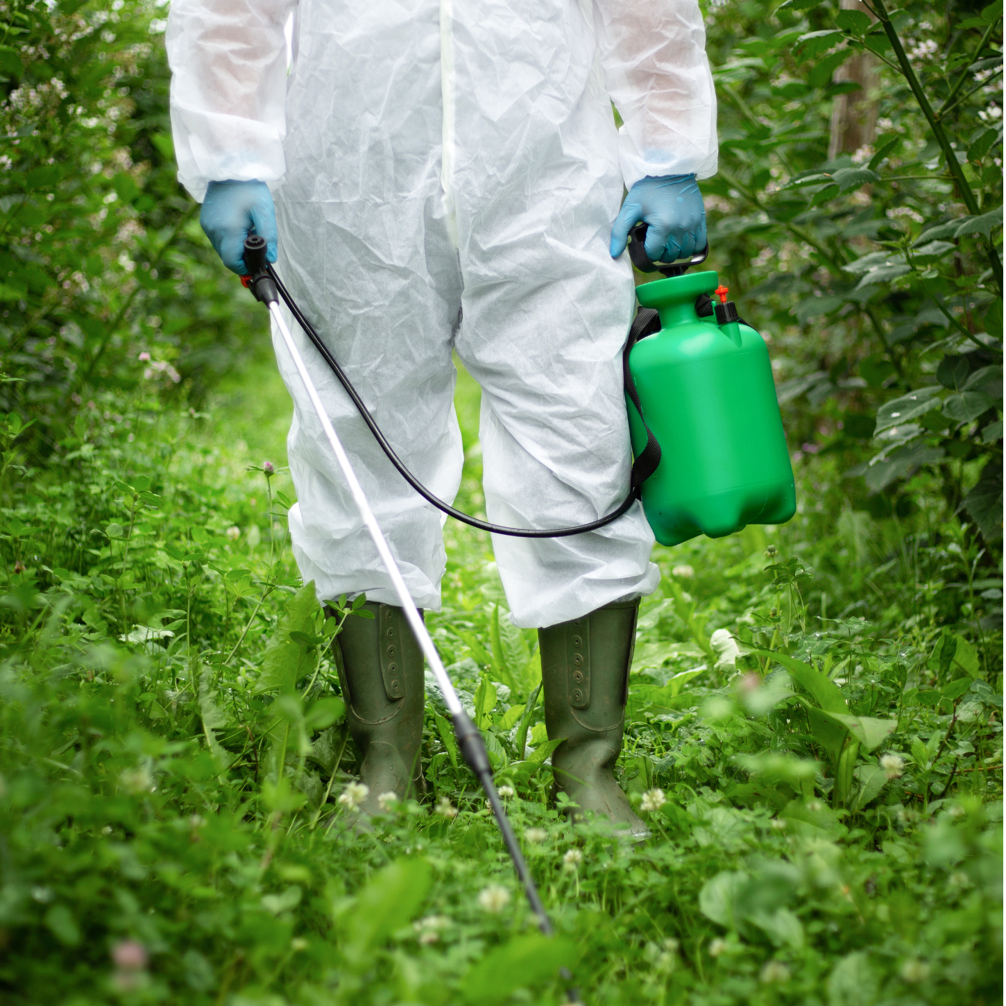 Glyphosate: Should We Be Worried?