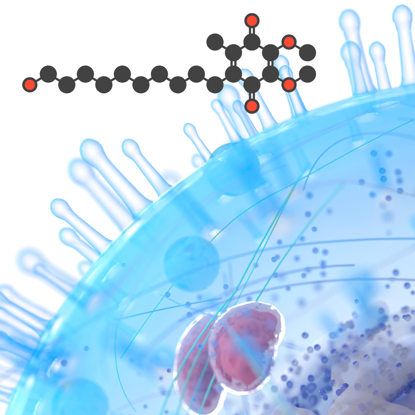 Mitochondria: The Missing Link in Disease Part 1
