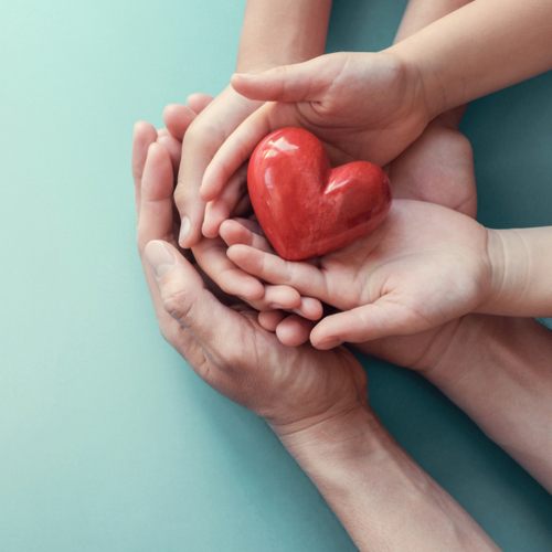 How To Support Your Immunity