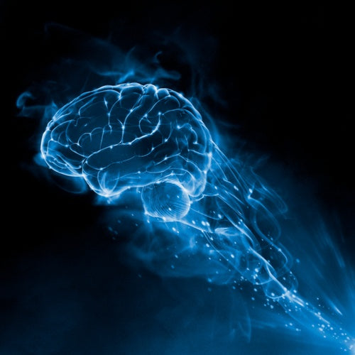 How to Modulate your Gut-Brain Axis via the Vagus Nerve