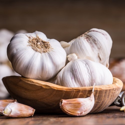 Importance of Prebiotic Fiber and Dietary Sources