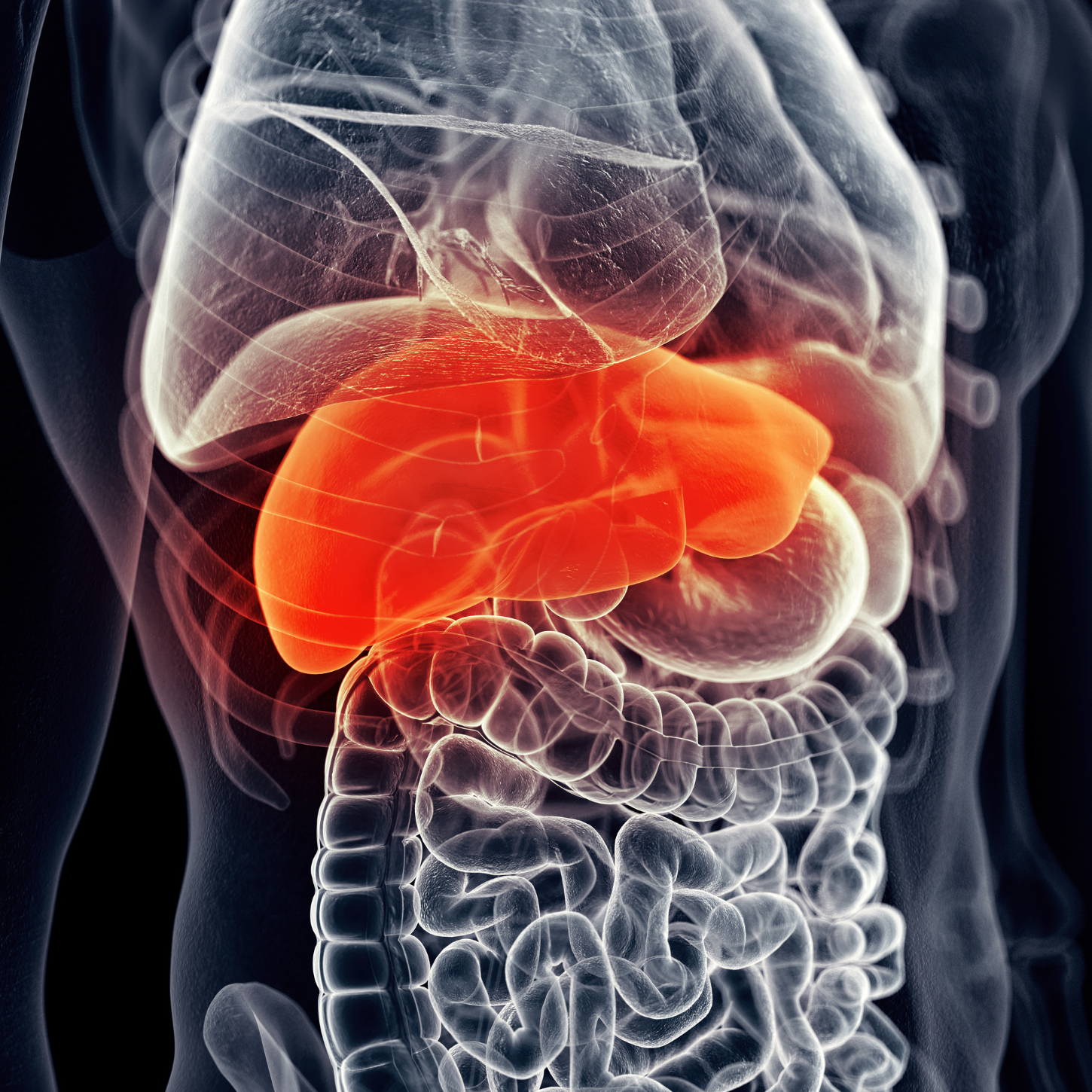 Non-alcoholic Fatty Liver Disease: Causes, Gut Connection, and What Actually Helps