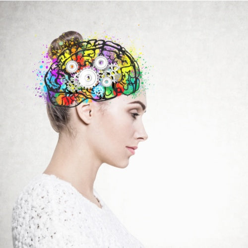 Our Gut, The Second Brain: The Link Between Gut Health and Your Brain