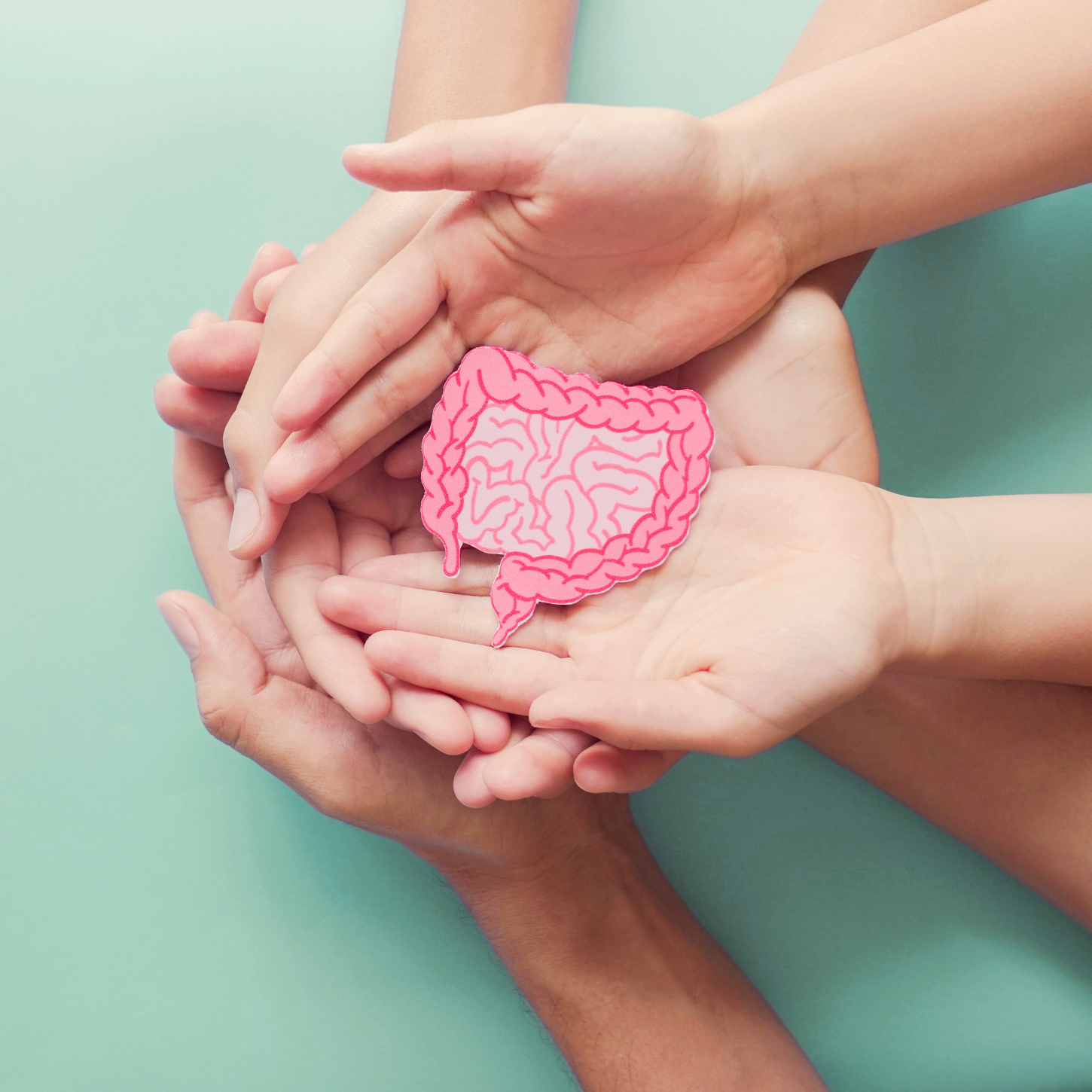 Postbiotics: Gut Health Support That Works for Everyone