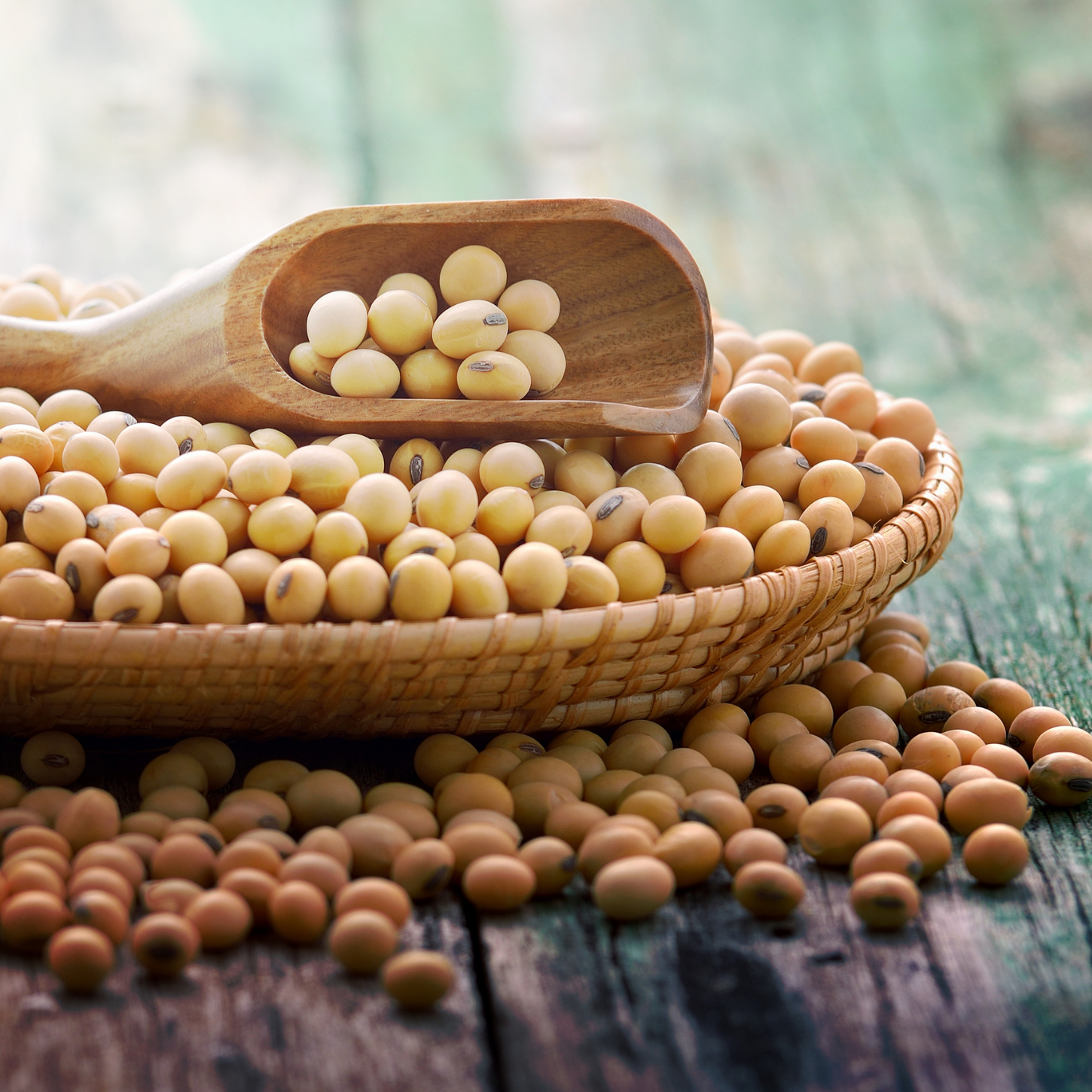 Soy: Friend or Foe?