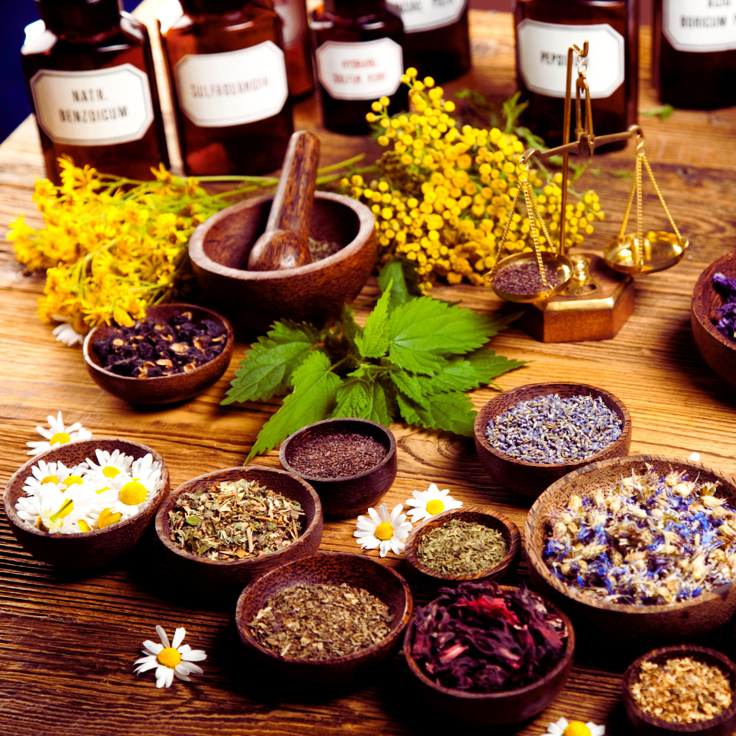 The Natural Medicine Cabinet Part 2: Proven Alternatives to SSRIs, Statins & Antibiotics