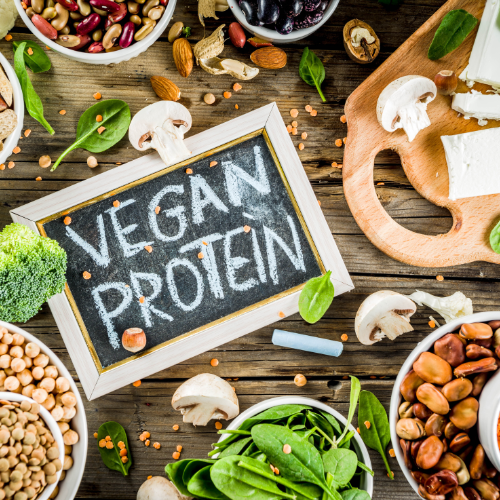 Plant-Based Protein: The Science Weighs In