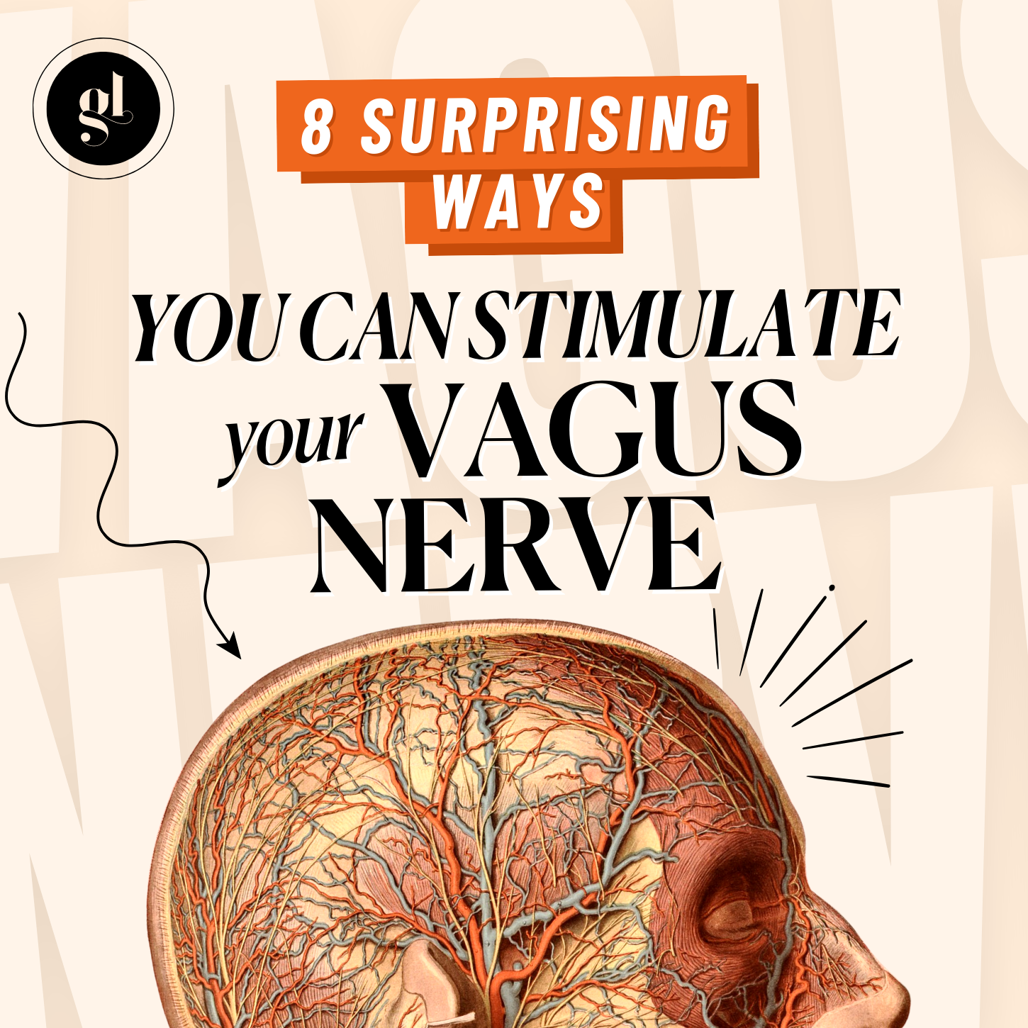 8 Surprising Ways You Can Stimulate Your Vagus Nerve