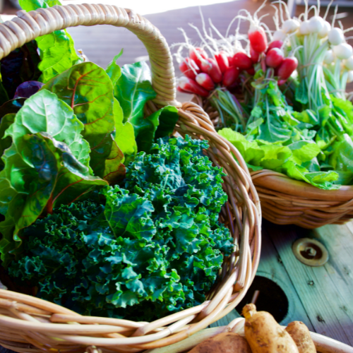 Greenify Your Plate Part 2: How to Get More Greens into Your Diet