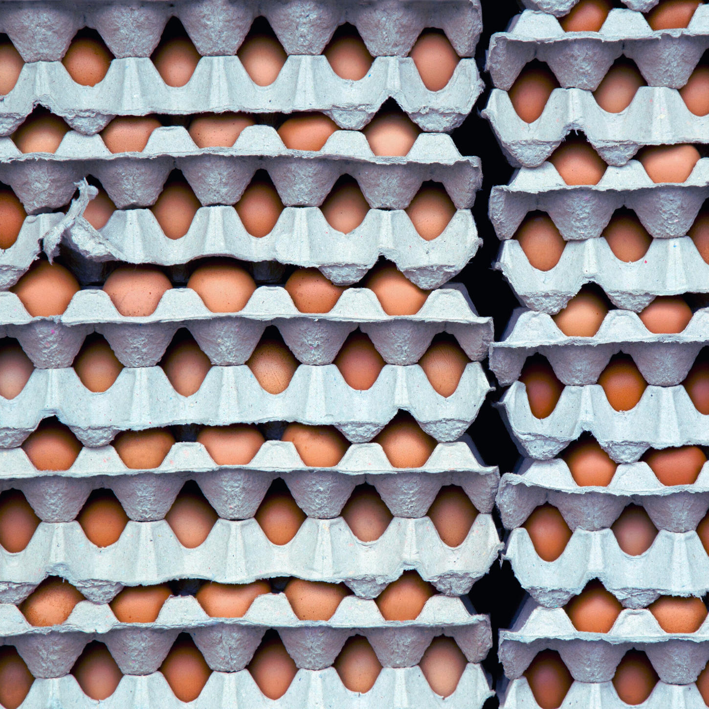 Beyond Health: The Hidden Costs of Eggs and How to Go Egg-Free (Part 2)