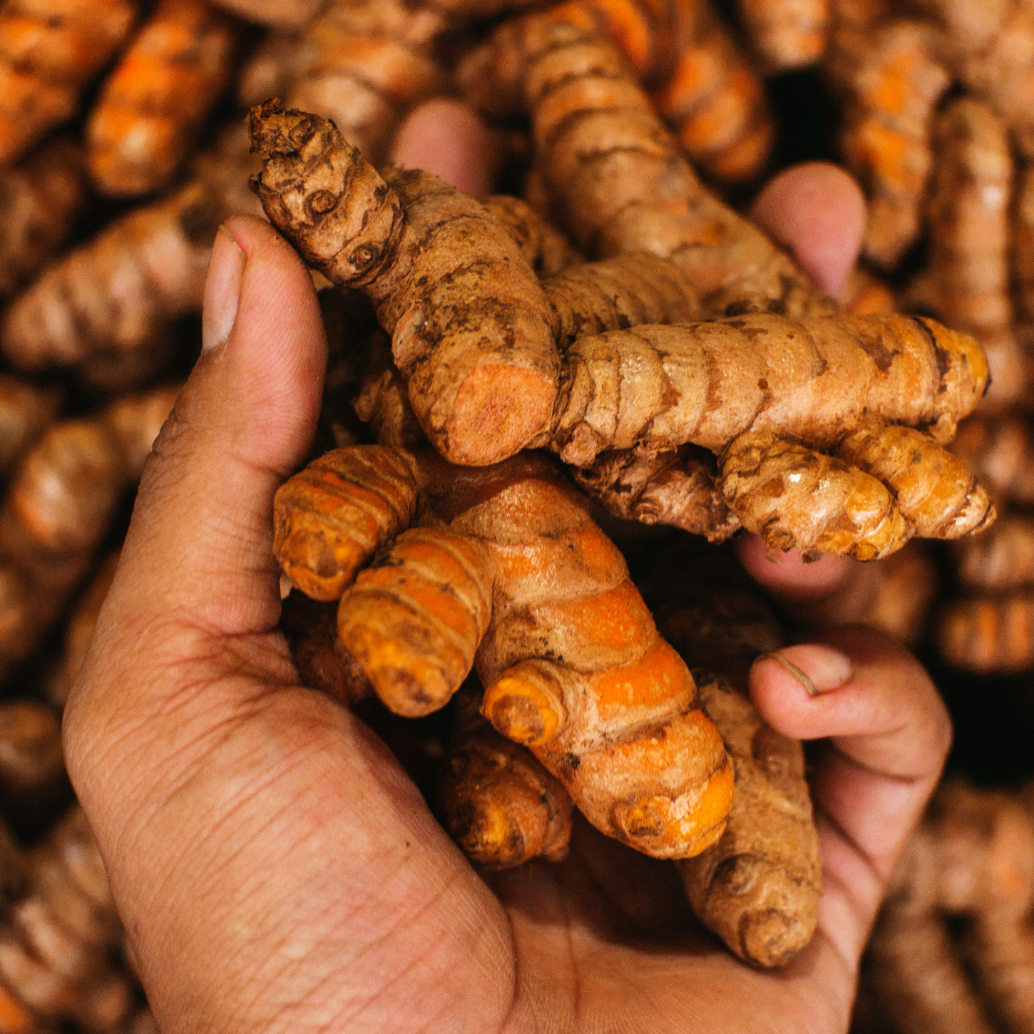 Turmeric: The Golden Miracle Spice