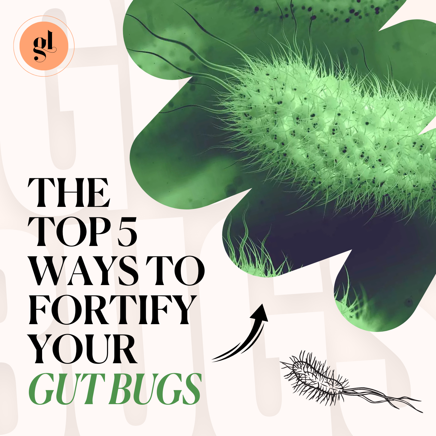 5 Ways to Fortify your Gut Bugs