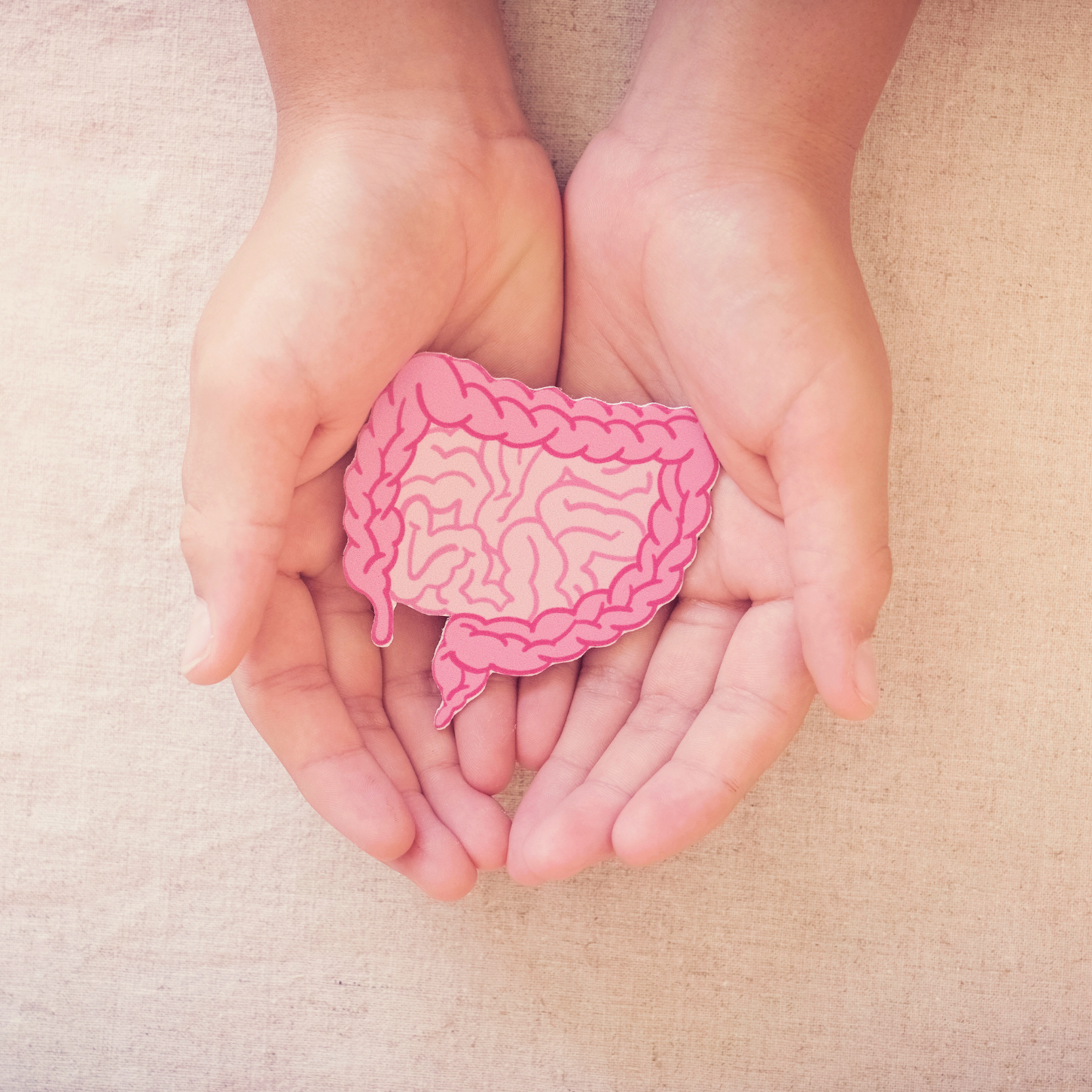 Where to Start with Gut Healing: A Simple Guide for Beginners