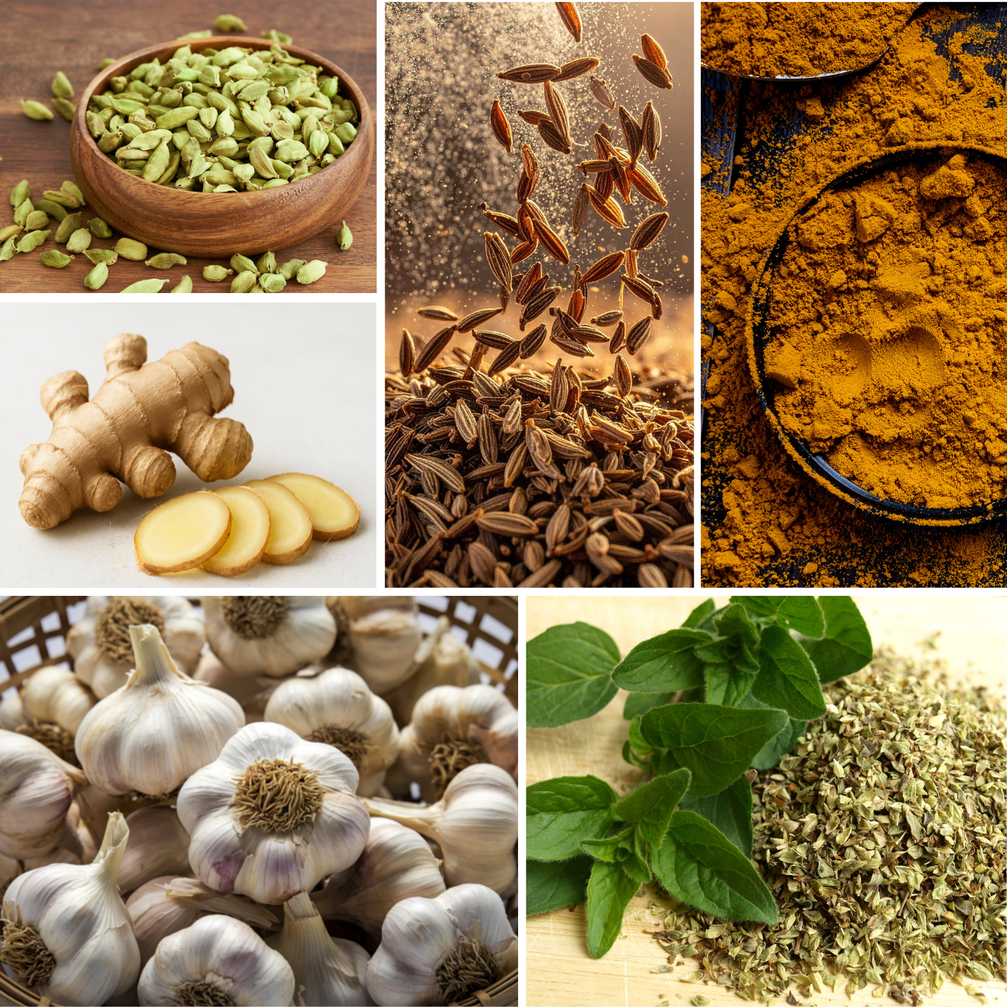 Your Gut's Best Friends: 6 Spices That Can Transform Your Digestive Health