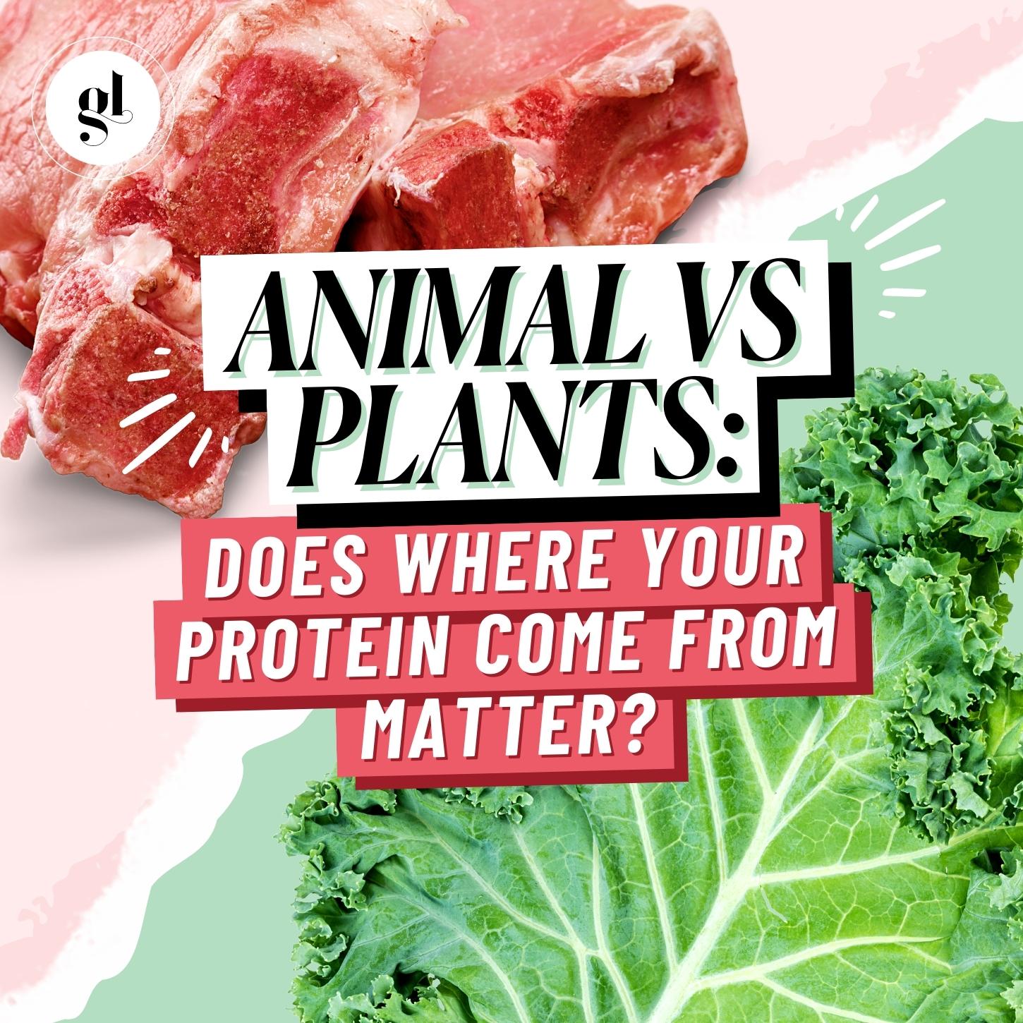 Animal vs Plants: Does Where Your Protein Come From Matter?