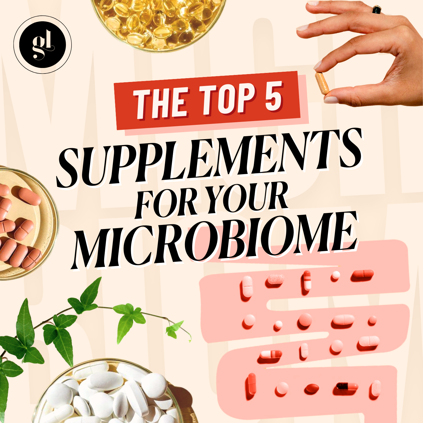The Top 5 Supplements for Your Microbiome
