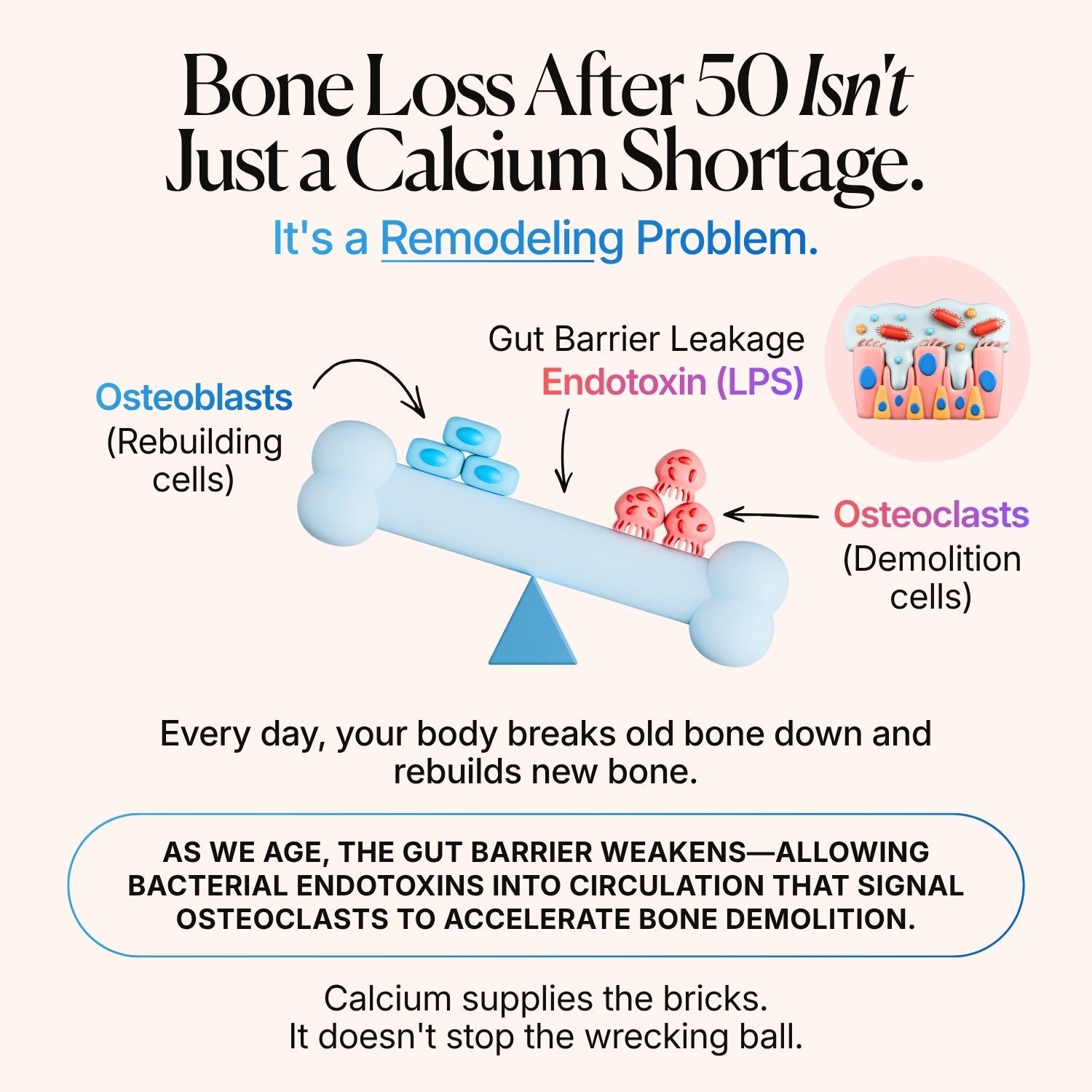BoneBiotic