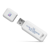 The Gut-Autoimmune Solution - Flash Drive