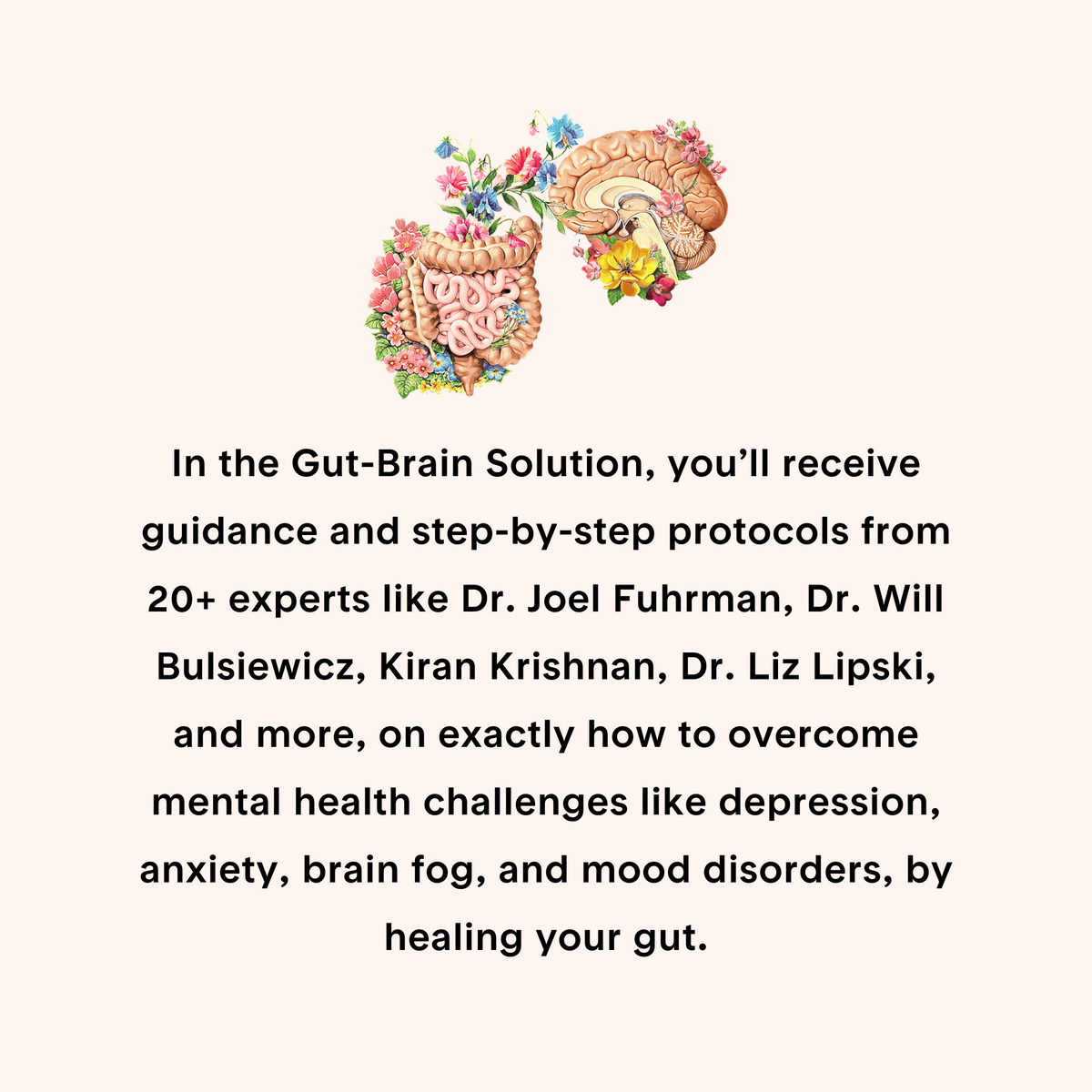 Gut-Brain Solution Series – Book & DVDs (2 for the price of 1!)