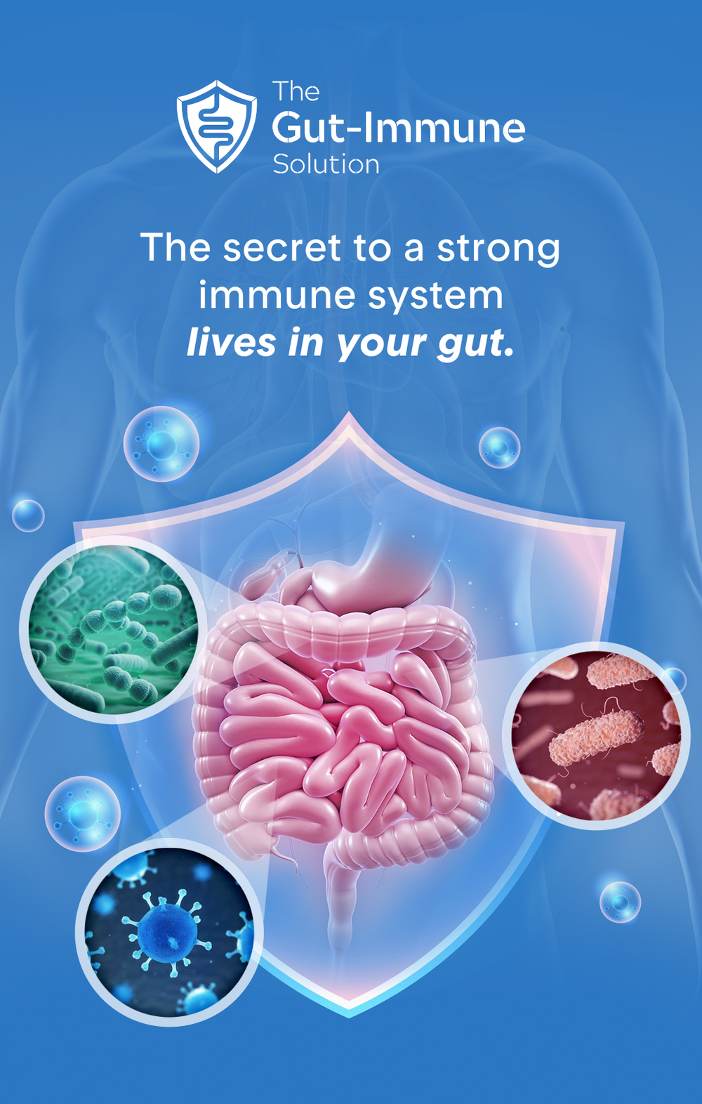 The Gut-Immune Solution - Rebuilding Your Gut Health | Goodness Lover