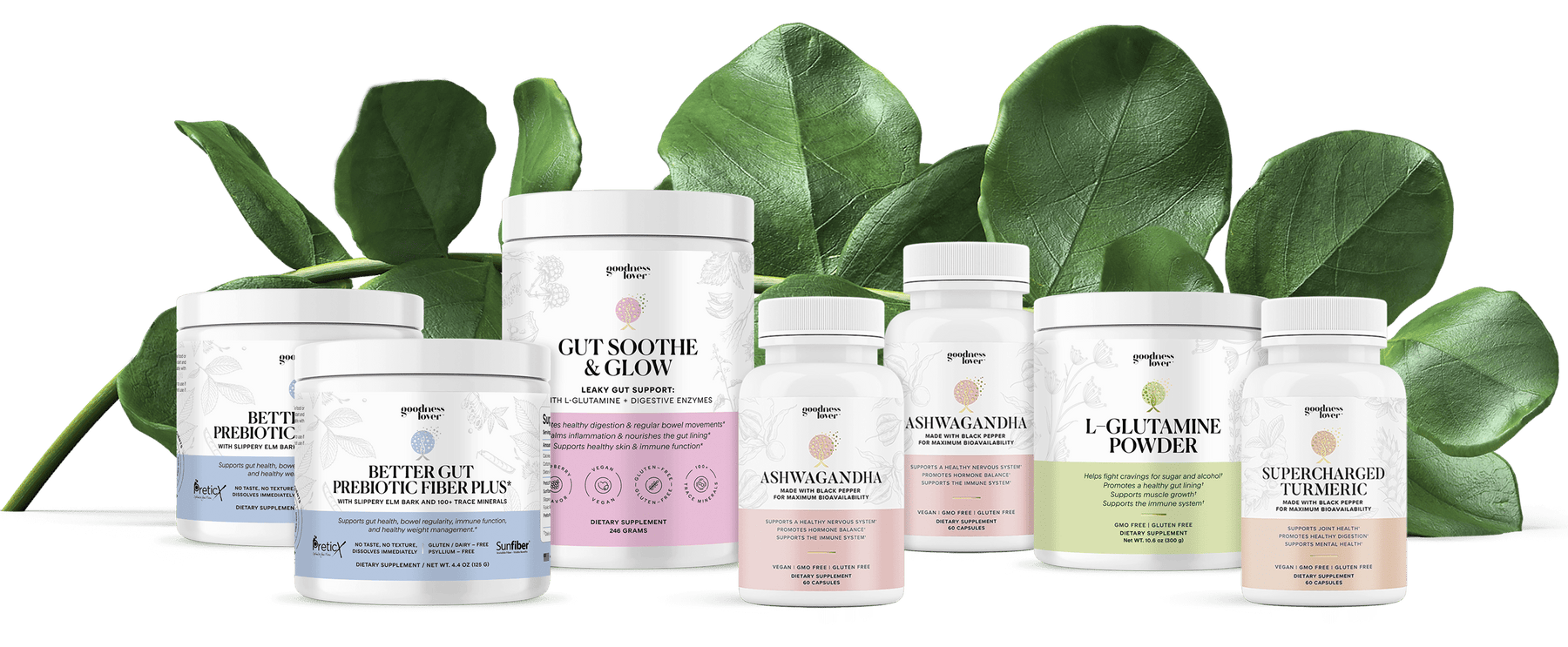 The Gut Reset Protocol