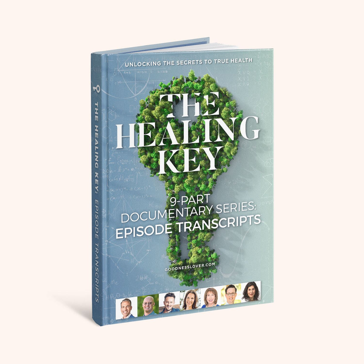 The Healing Key - Transcript Book