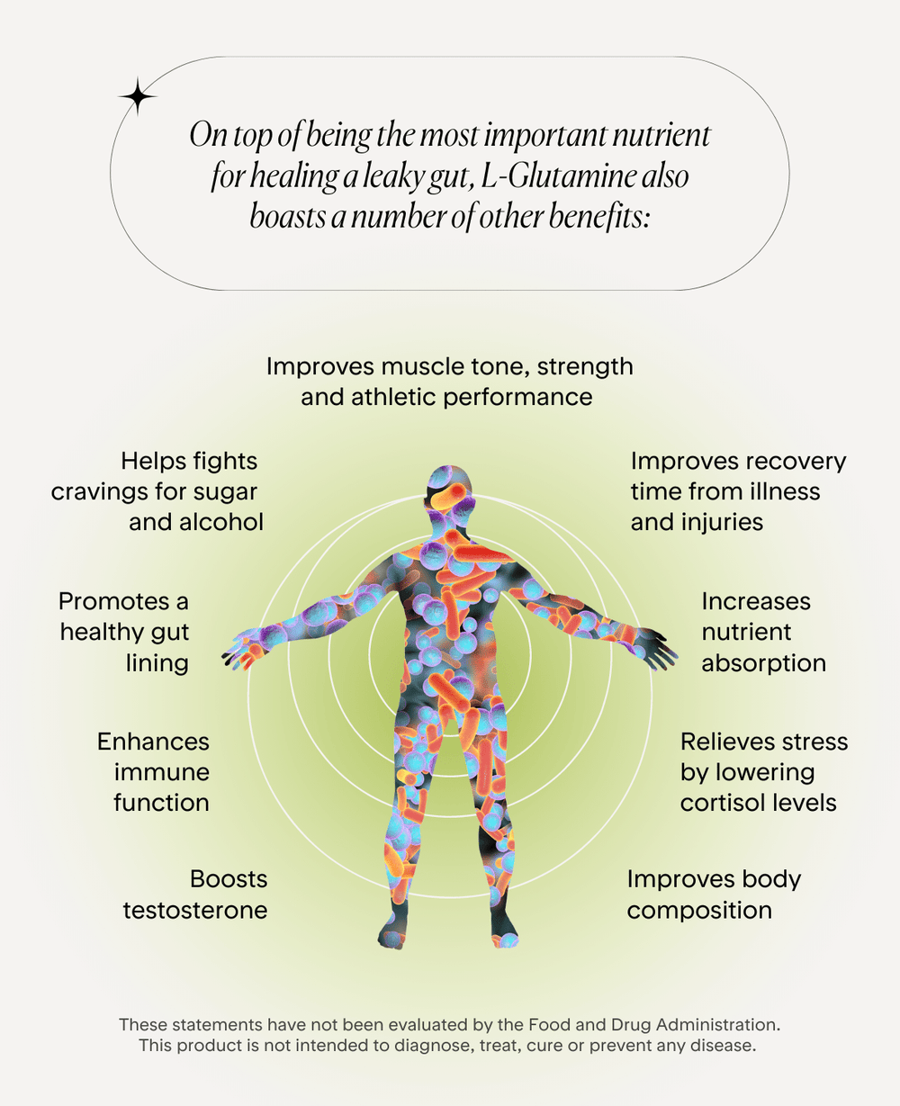 L-Glutamine Powder - The Gut Solutions Expert | Goodness Lover