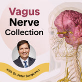 The Vagus Nerve Collection